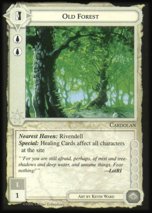 Old Forest